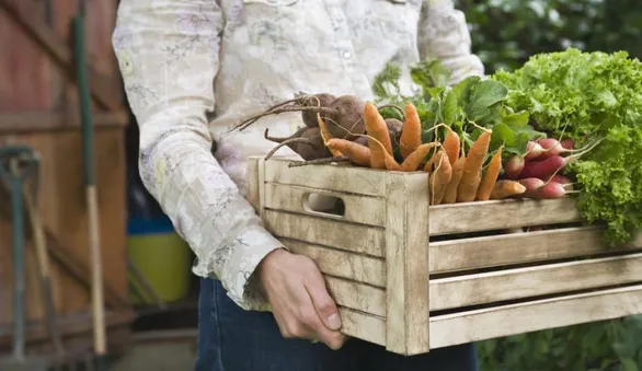 Как перестать покупать и выбрасывать лишние продукты и начать экономить