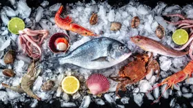 10 видов рыбы и морепродуктов с самым высоким содержанием белка — топ на любой вкус