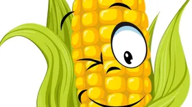 Рецепты с молочной продукцией, томатами и кукурузой