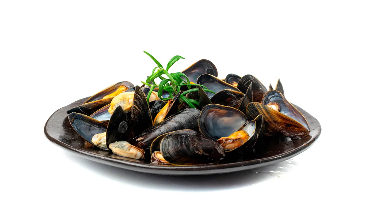 Вареные мидии