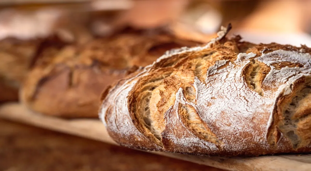 В России испекли хлеб из личинок мухи, - ученые объяснили, зачем нужен этот продукт