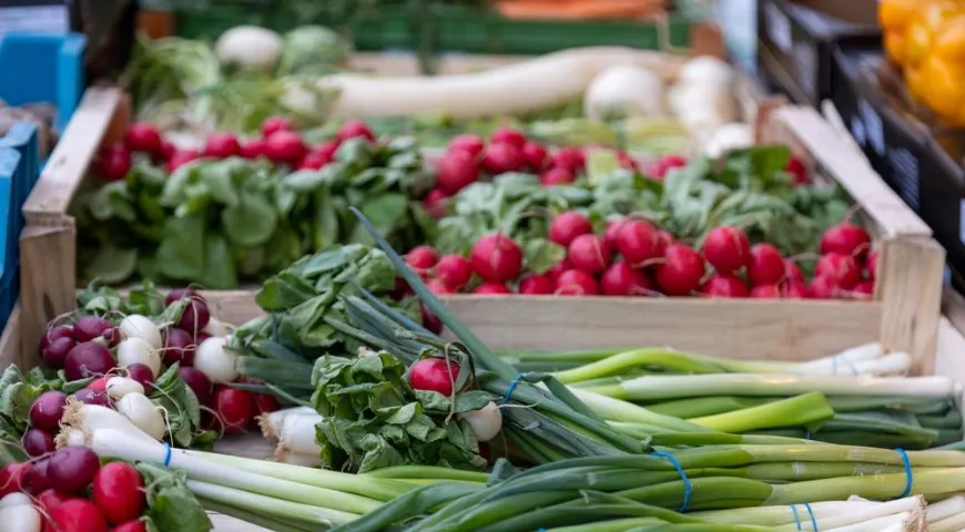 Лучше выбирать редис среднего размера со свежей ботвой