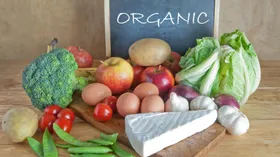 Краткая энциклопедия ЗОЖ: органические продукты - что это такое