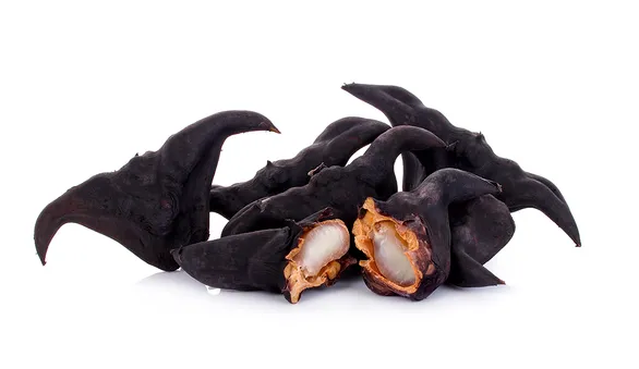 рогульник плавающий