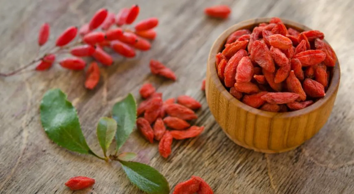 Ученые открыли уникальное свойство барбариса