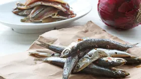 Анчоус, хамса, килька – рецепты рыбы