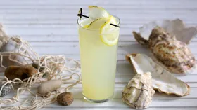 Рецепты с соком и мятой