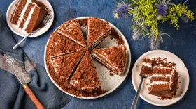 Шоколадный торт со сметанным кремом