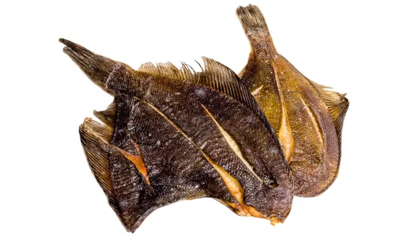 Вяленая камбала