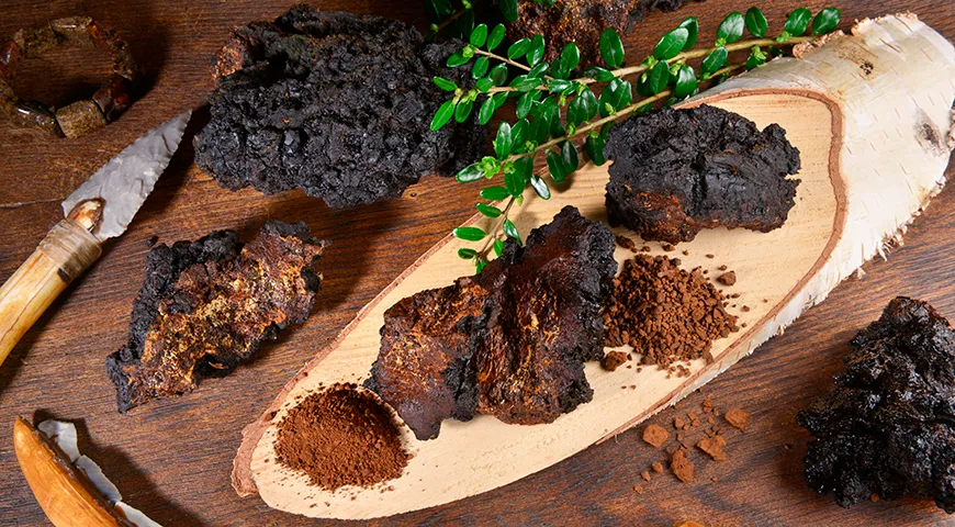 Чага ценится за высокое содержание антиоксидантов и биологически активных веществ