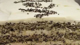 Рецепты с лимоном, шоколадом и крахмалом