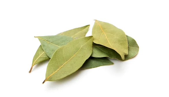 Лавровый лист