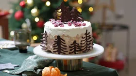 Рецепты новогоднего меню с какао