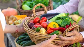 Локальные продукты: что это, чем отличаются от фермерских и где их покупать