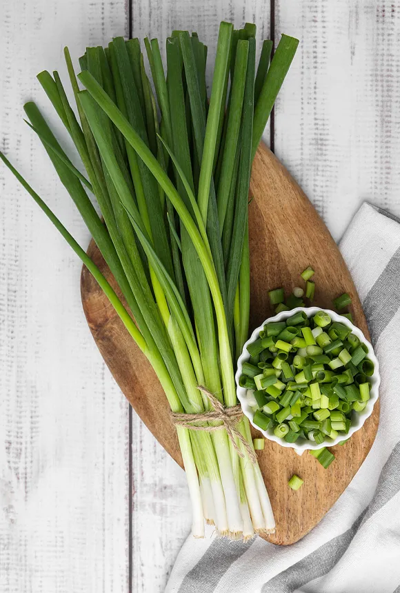 Зеленый лук