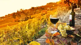 Южный регион Рехьон дель Сур