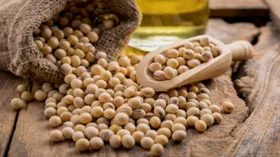 В Благовещенске гостей гастрофестиваля накормят блюдами из сои