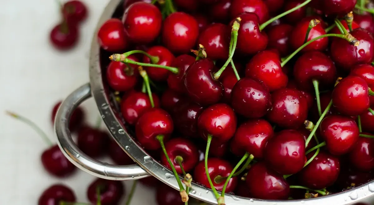 У черешни крупные и плотные ягоды