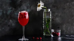 Рецепты с соком и клюквой