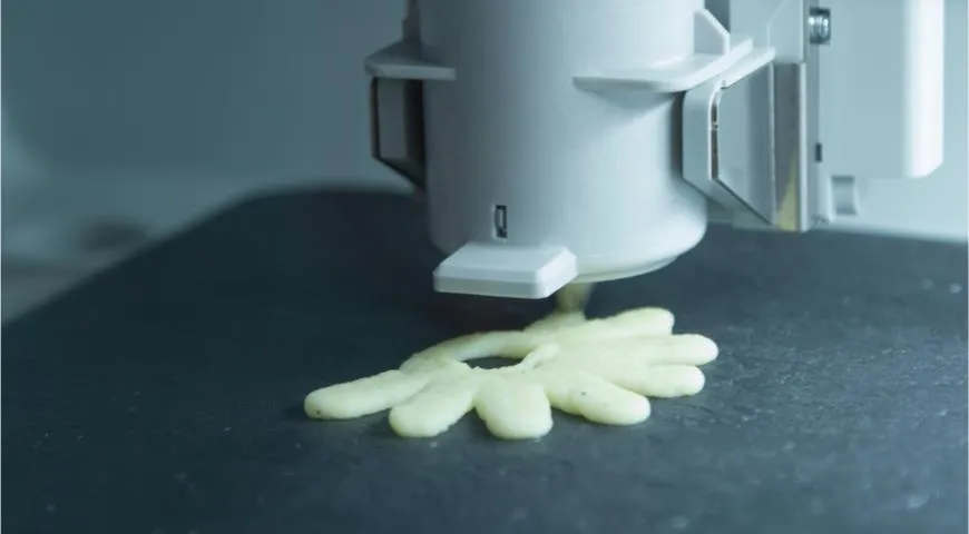 Студентка из России напечатала на 3D-принтере батончики из червей