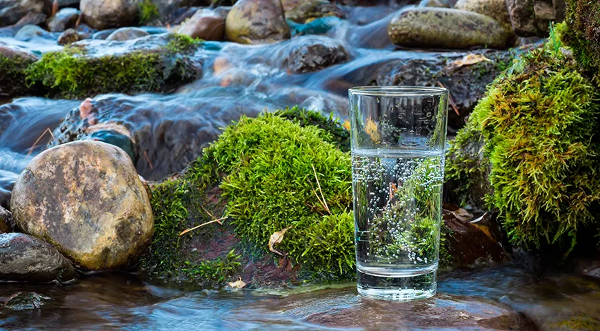 Минеральная вода — это дождевая и талая вода, которая столетиями просачивалась сквозь земные пласты, растворяя горные породы и насыщаясь микроэлементами
