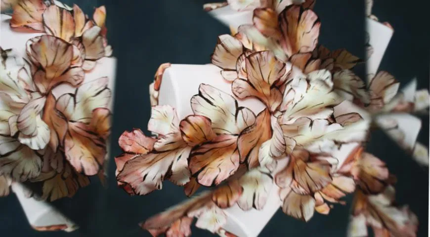 дизайнерские торты