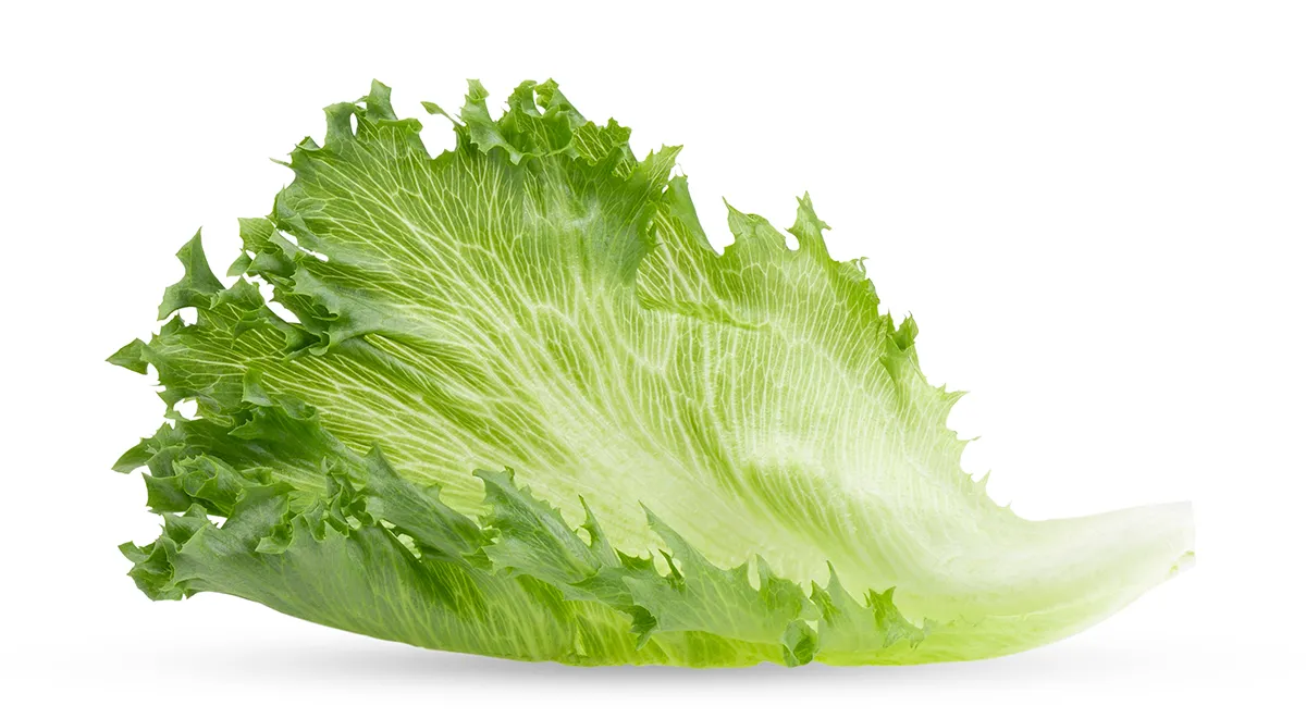 Салат фриллис