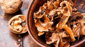 Перегородки грецкого ореха: польза и вред, народная медицина и вкусная настойка