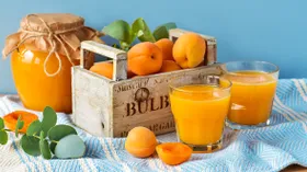 Рецепты с соком и абрикосом