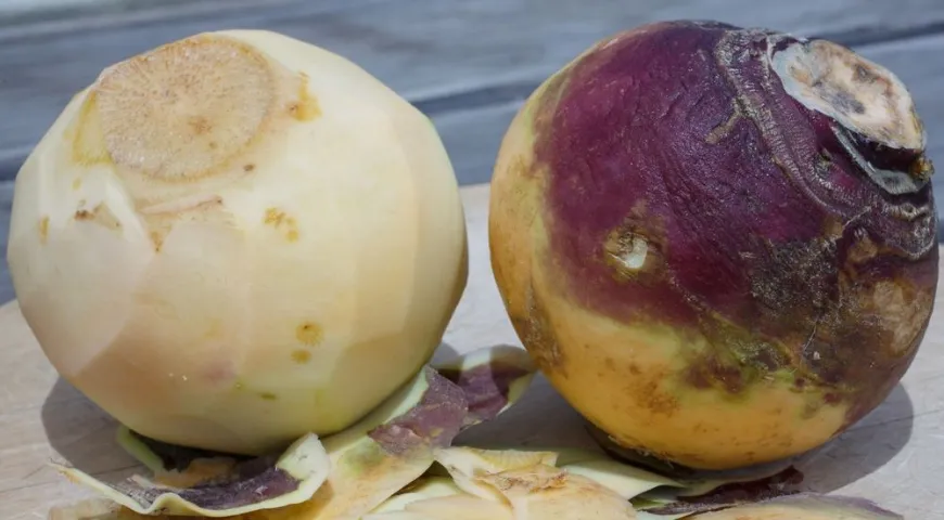 Серосодержащие соединения и клетчатка могут раздражать слизистую ЖКТ, провоцировать газообразование 