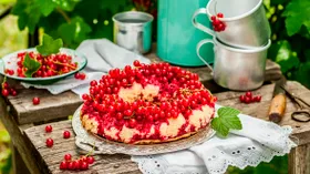 12 лучших рецептов из красной смородины в этом сезоне