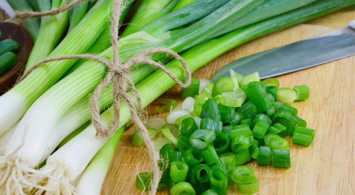 Храните зеленый лук только так: будет свежим как с грядки