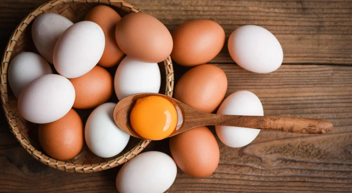 Созданы гипоаллергенные куриные яйца: кому они полезны
