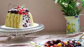 Рецепты для миксера с кисломолочными продуктами и желатином