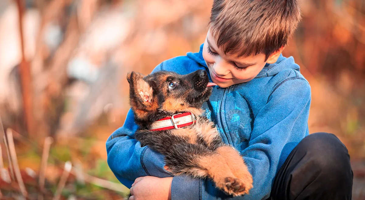 Домашние животные для детей. Ваше отношение к животному. Новое поколение и животные. Рассказ собака друг человека. Люди и животные.