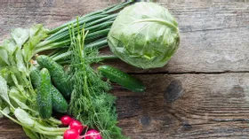 Молодая капуста: польза и вред для здоровья плюс 7 нужных рецептов