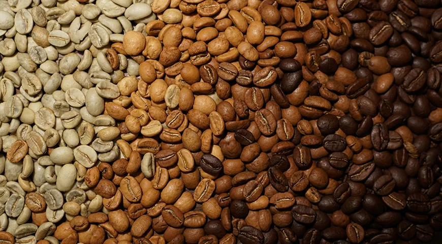 Темная обжарка кофе подчеркивает горечь и тело, светлые — кислотность и цветочные ноты