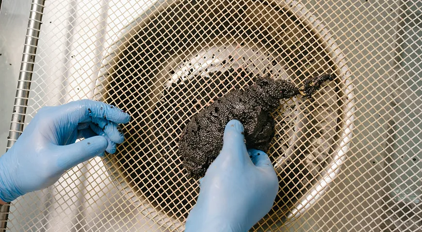 С помощью грохотки отделяли икру от пленок