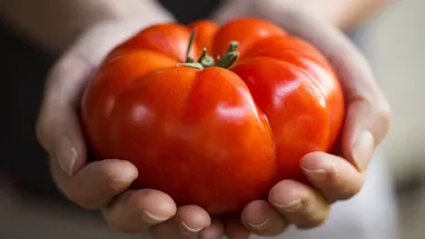 Как распознать овощи с нитратами? Агроном перечислил 5 очевидно опасных признаков