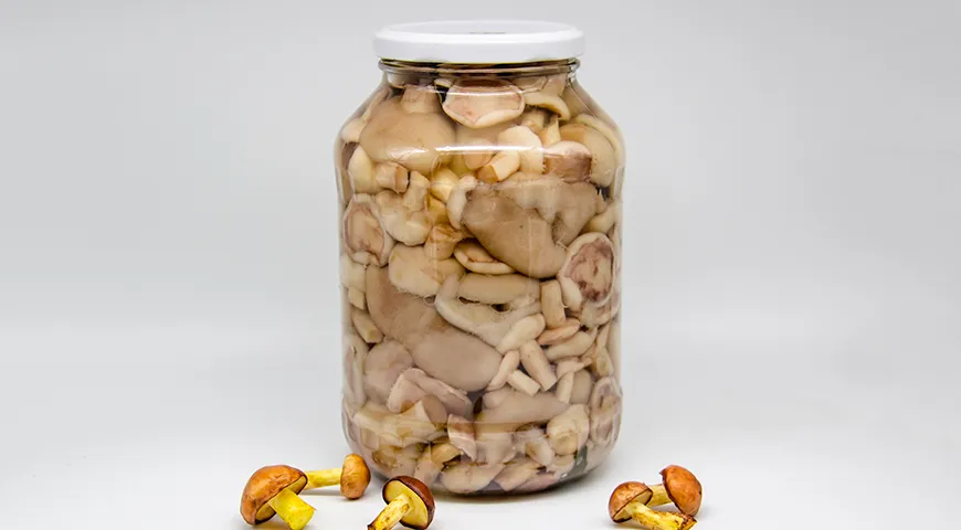 Маринованные с уксусом маслята