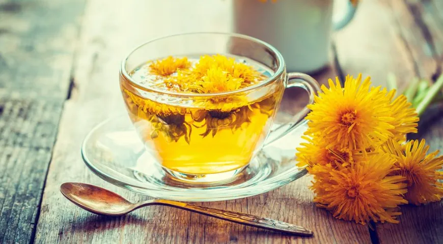 Чай из одуванчиков — самый весенний напиток 
