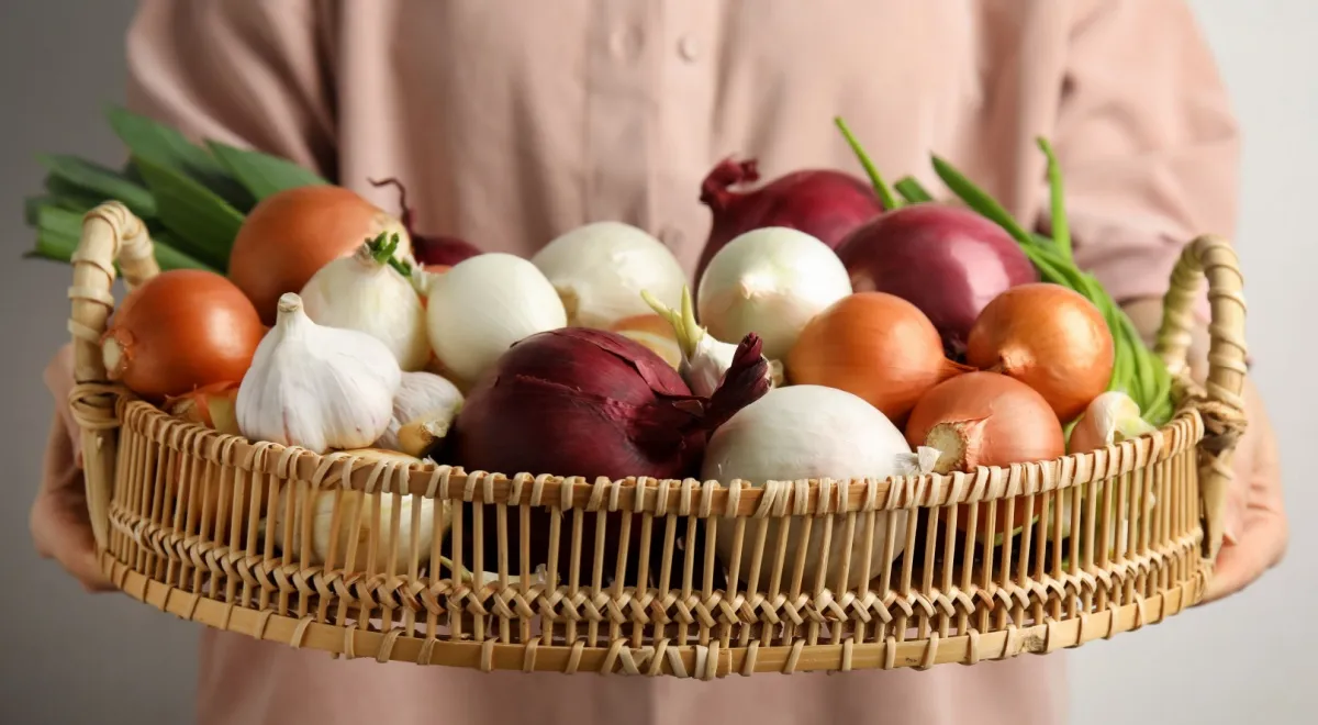 Диетолог Соломатина напомнила о серьезной пользе лука для сердца и сосудов