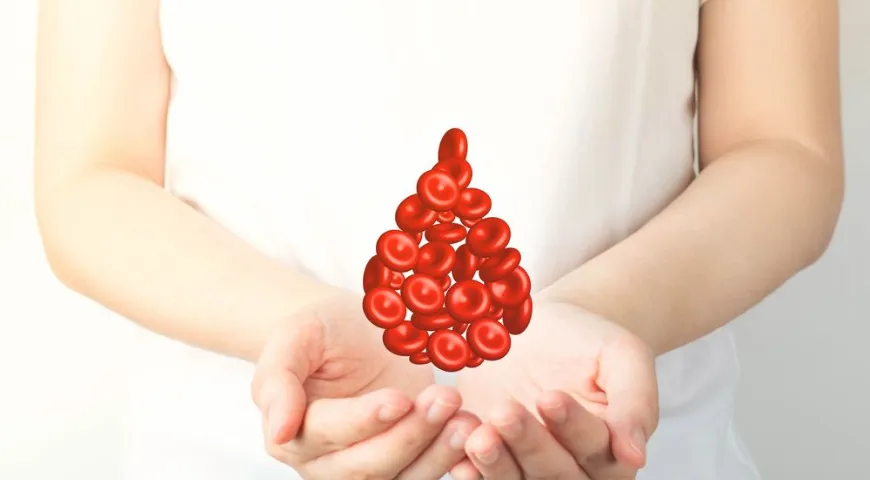 Снижение уровня ферритина в анализах может быть первым маркером, предупреждающим о риске развития железодефицитной анемии