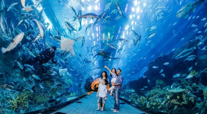 Дубайский аквапарк и подводный зоопарк