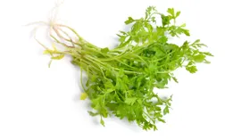 Кресс-салат