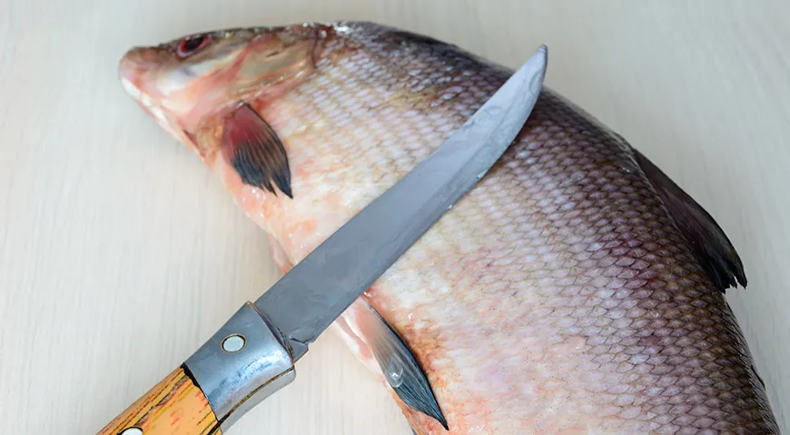 Чешуя у муксуна довольно плотная, мелкая, и ее удобно снимать ножом, двигаясь от хвоста к голове