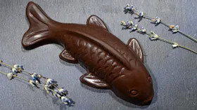 В Тобольске буду производить рыбу в шоколаде