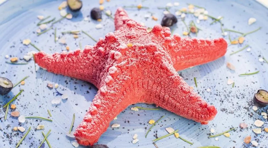 Морская звезда из кедрового молока с цветами соли из Белого моря, сушеной дикой голубикой и свежей