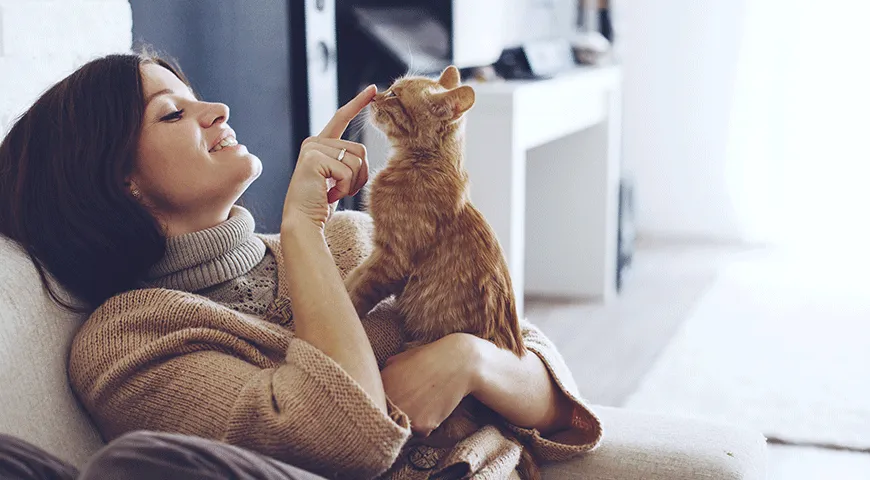 Ученые подтверждают: обнимать и гладить кошек полезно для снятия стресса
