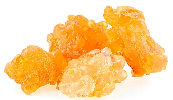 Мастика, смола съедобная